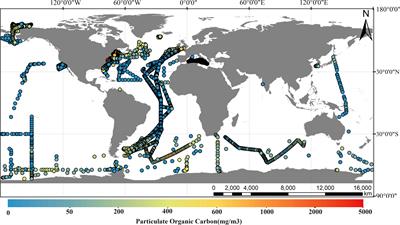 A method for estimating particulate organic carbon at the sea surface based on geodetector and machine learning